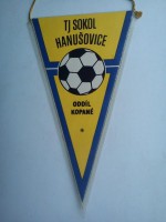 /album/hanusovice/hanusovice-tj-sokol-22-jpg/